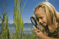 Click to enlarge girl magnifying glass nature.s200x2002 Children are Little Scientists: Encouraging Discovery Plan