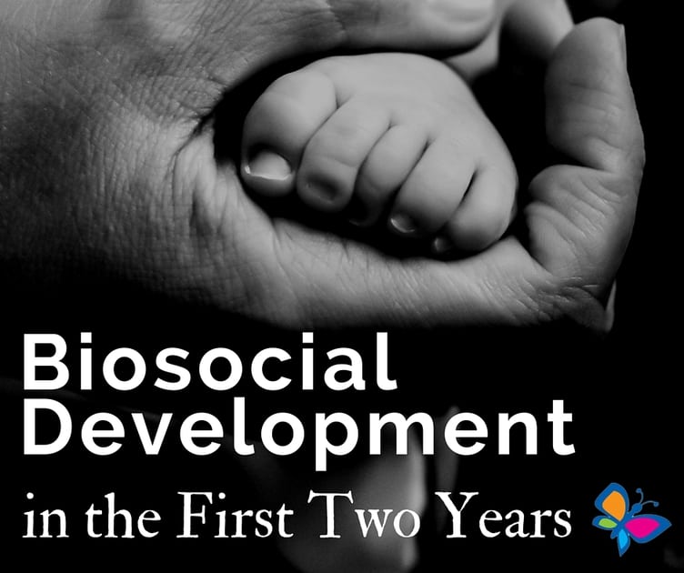 Biosocial Development And A Baby Being Able To Sit Up