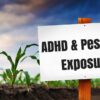 ADHD and Pesticide Exposure null (11)