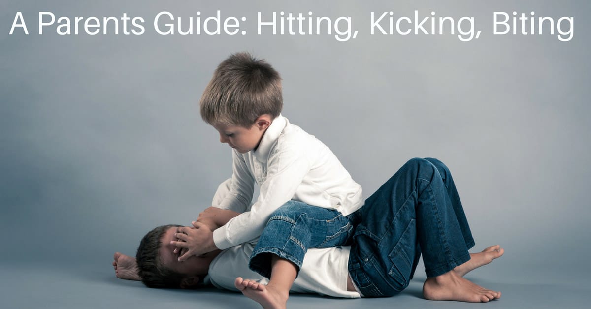 Handling Hitting, Kicking, Biting and Hair Pulling A Parents Guide