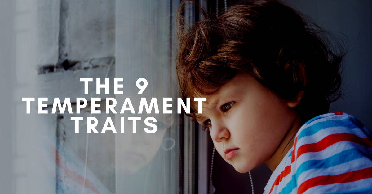 The 9 Temperament Traits