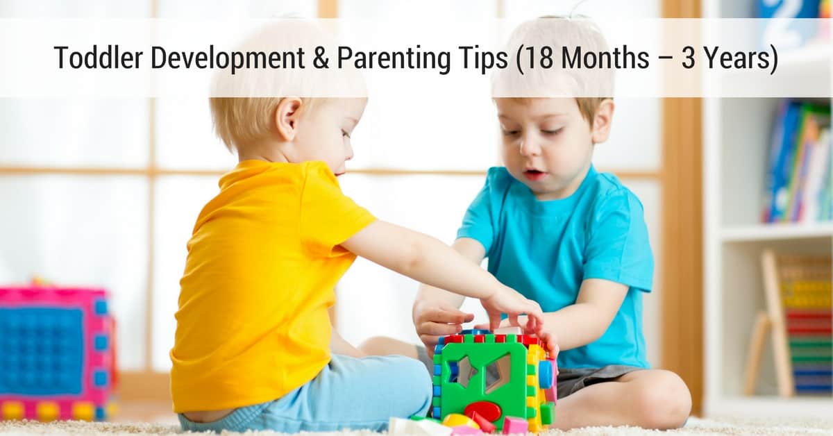 Toddler Development Amp Parenting Tips 18 Months 3 Years