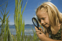 Child Nature Exploration