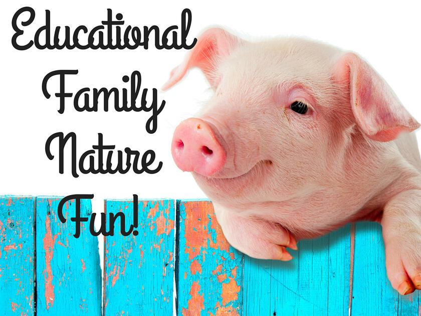 Educational Family Nature Fun!