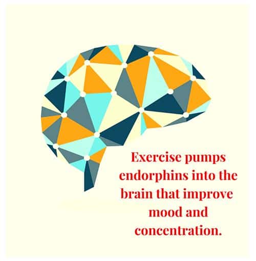 Brain Endorphins 500x509 - Child Development Institute