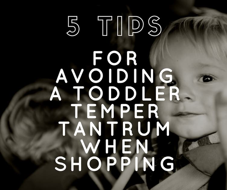 5 Tips for Avoiding a Toddler Temper Tantrum While Shopping Graphic Facebook